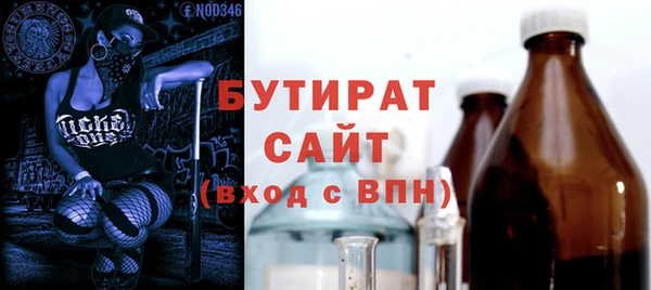 индика Ладушкин