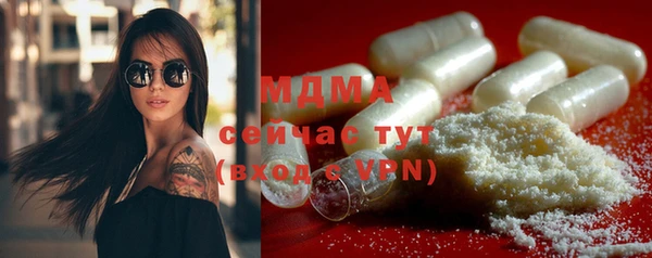 индика Ладушкин