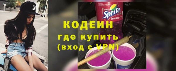 индика Ладушкин