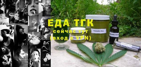 индика Ладушкин
