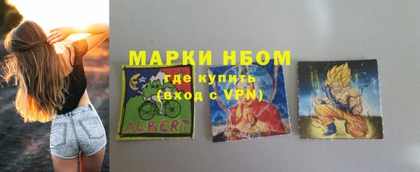 индика Ладушкин