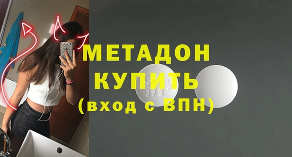 индика Ладушкин