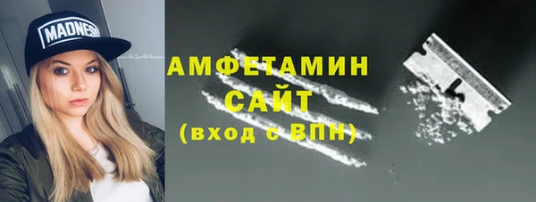 индика Ладушкин