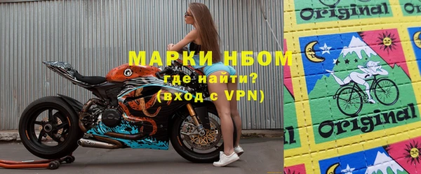 индика Ладушкин
