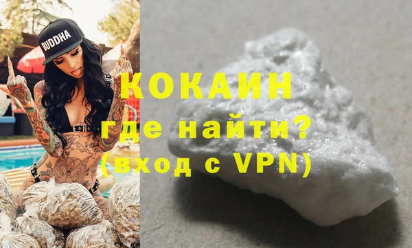 индика Ладушкин