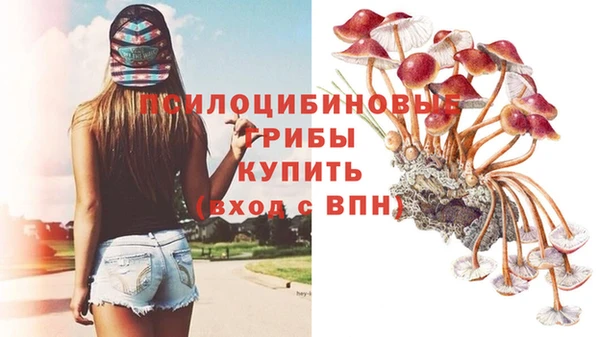 герыч Лагань