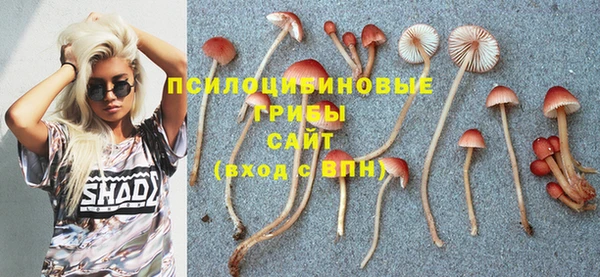 герыч Лагань