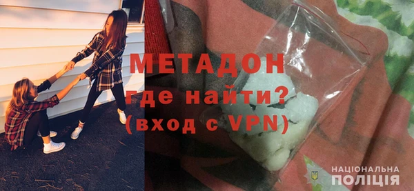 индика Ладушкин
