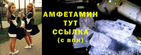 индика Ладушкин